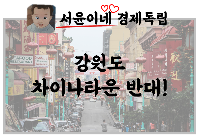  강원도 차이나타운, 건설반대 청원 40만 돌파!