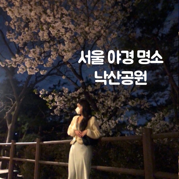 서울 벚꽃 명소 근황[낙산공원&성곽길]-서울야경드라이브+산책