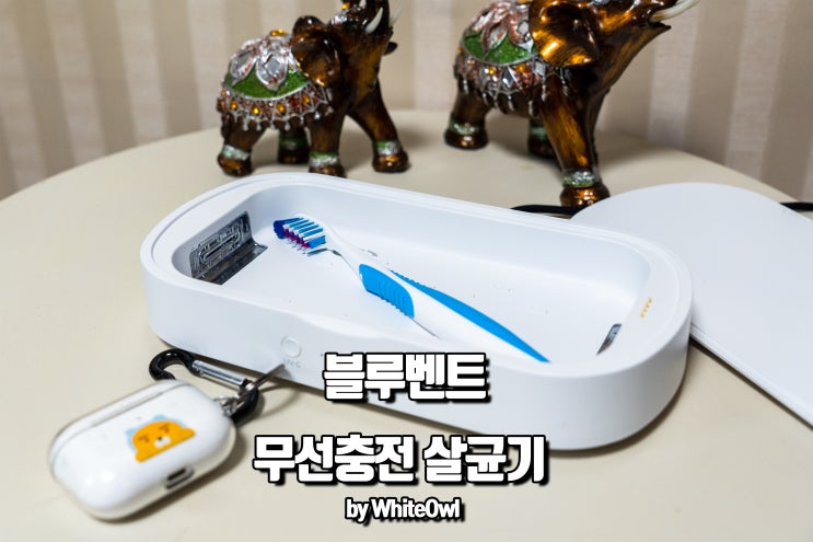  블루벤트 무선 충전되는 쉴드박스 UV 칫솔 살균기