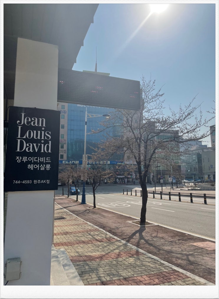  원주 미용실, 예쁜 모카브라운으로 염색후기 장루이이다비드 원주단계점