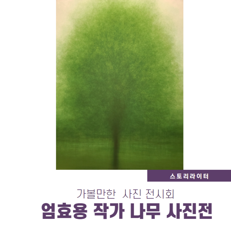 4월 가볼만한 서울 미술전시회, 엄효영 작가 개인전 나무사진에 반하다(갤러리나우)