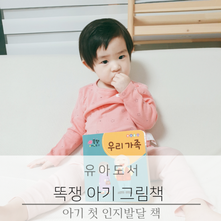  책 육아 똑쟁아기그림책 아기 첫 인지발달 책 추천