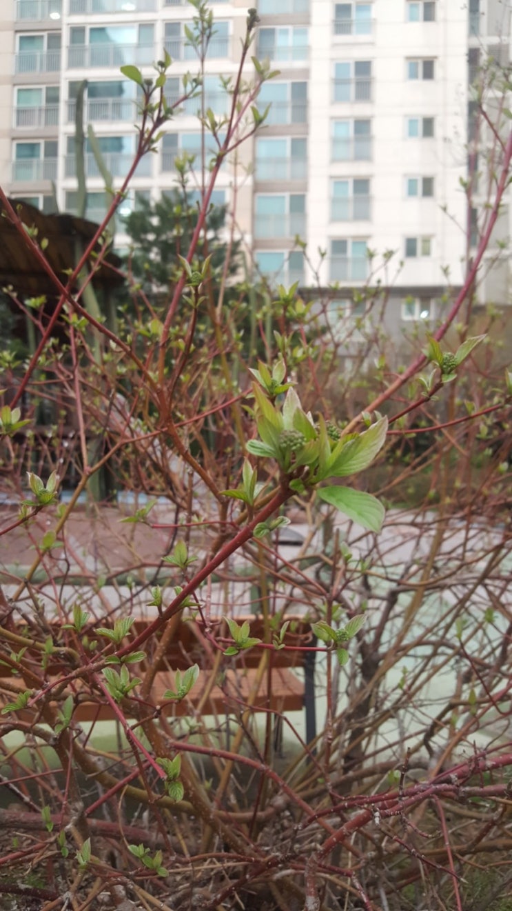  포일자이 주변 사진 4/4