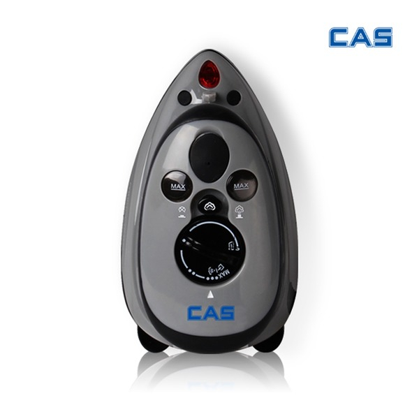 후기가 좋은 CAS 카스 여행용 미니다리미 LSI-1000 좋아요 후기가 좋은 CAS 카스 여행용 미니다리미 LSI-1000 좋아요