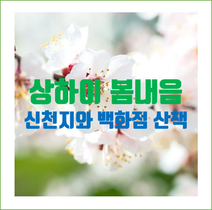  중국 상하이에도 봄내음이 나네요..봄배경은 어디에...  신천지 (新天地)와 백화점 한바퀴~~ 쉑쉑버거도 먹고..^^