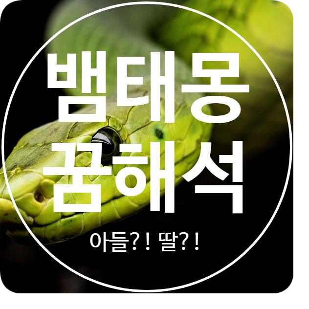  [뱀태몽] 큰 작은 검은 흰 뱀꿈 꾸셨다구요? 해석 풀이!!