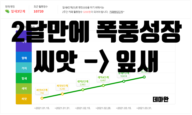  [데마완] 대학생들이 2달만에 잎새 찍은 카페 키우기 방법! 카페마케팅 4주차 중간점검