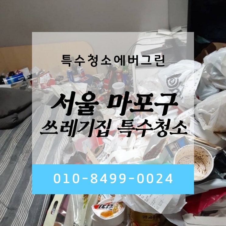 서울 마포구 특수청소 - 6평 원룸 쓰레기집 특수청소