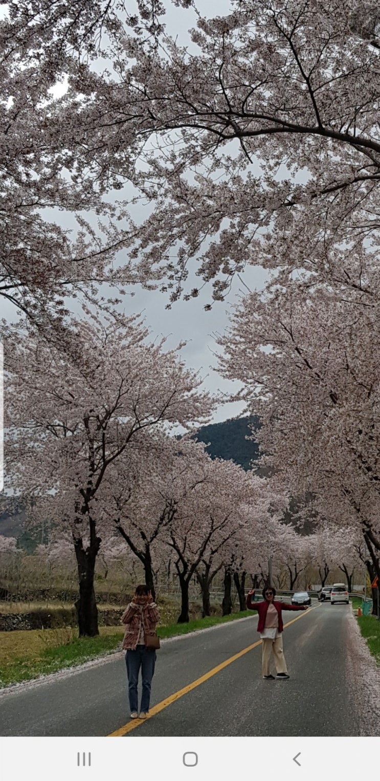  벗꽃놀이~