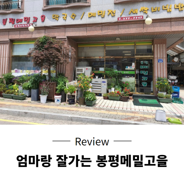 [오산 세교 맛집] 봉평메밀고을 메밀막국수, 새싹비빔밥 맛집