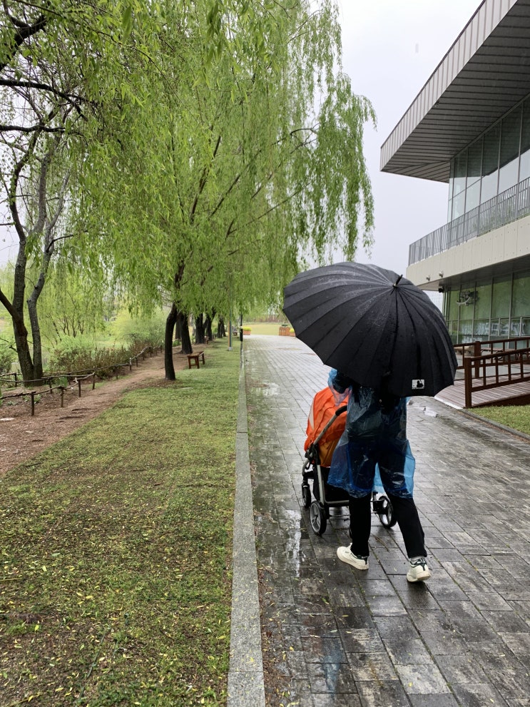 비오는날 산책 / 순천만국가정원