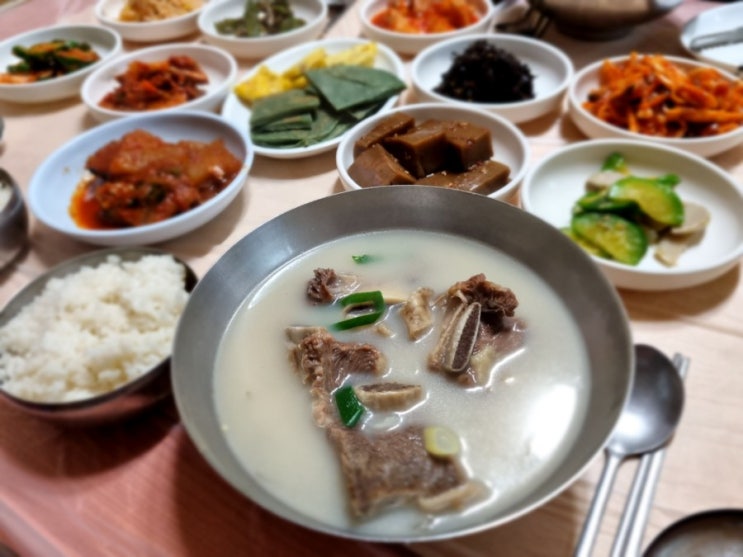  [보성 복내리 주암호생태관 신흥식당] 집밥 같았던 백반, 갈비탕