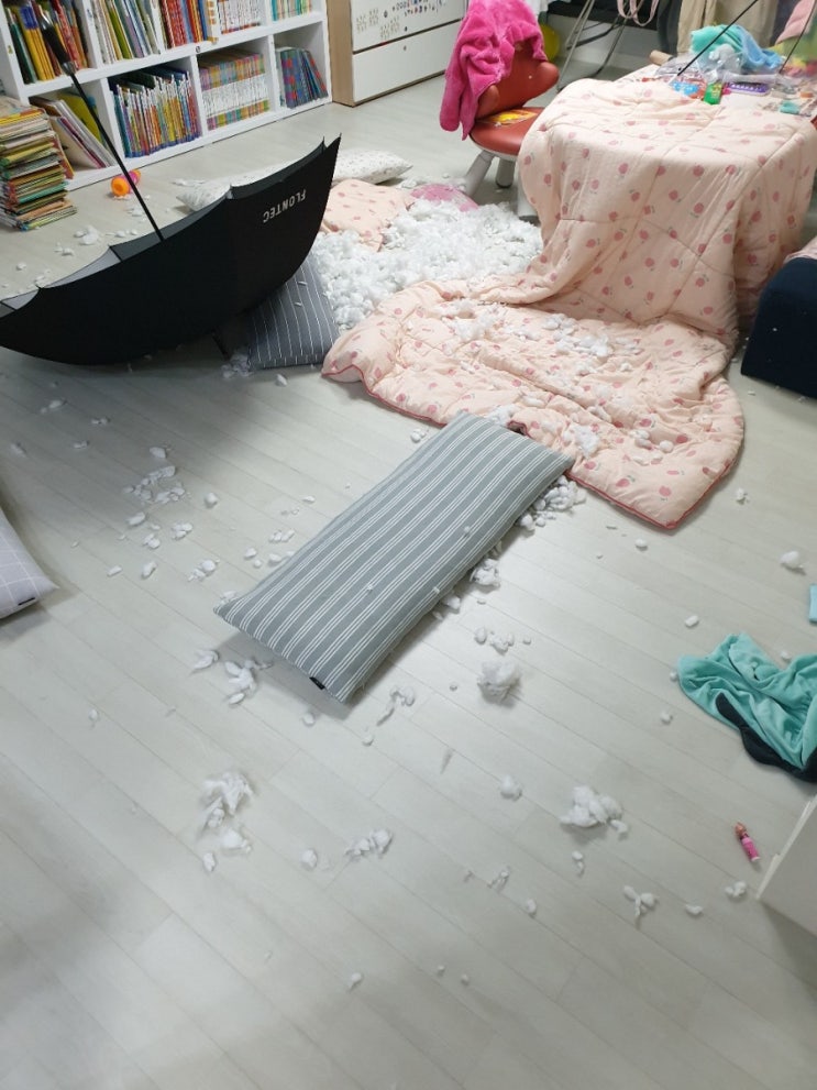  다이소 인형으로 거실과 방이 초토화 된 상황 ㅠ.ㅠ
