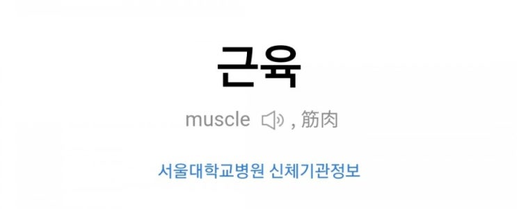  근육