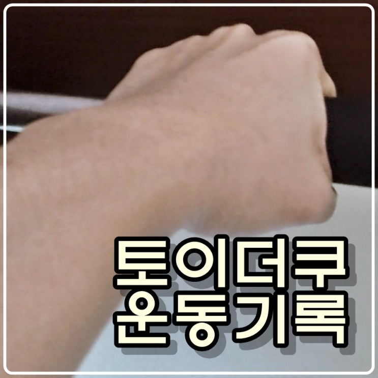 토이콜렉터 손대니의 운동기록 - 210404 토이콜렉터 손대니의 운동기록 - 210404