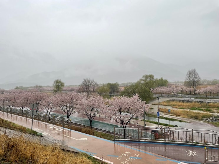 미사리 팔당팔화수변공원