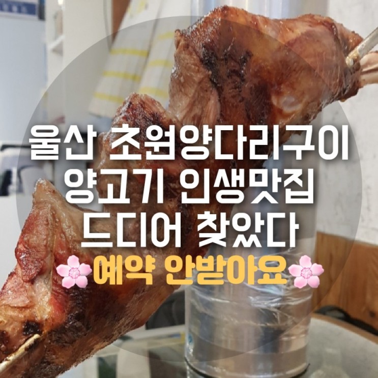 울산 초원양다리 양고기 역대급 맛집 또 발견했다