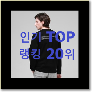 정직한 남자티셔츠 제품 인기 핫딜 랭킹 20위