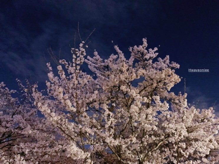  4월 첫번째주 화요 일상