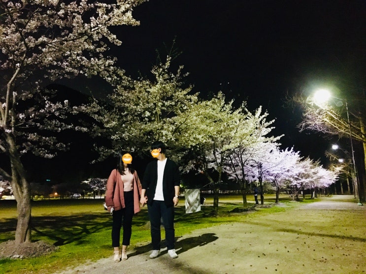 [대전 로하스공원] 벚꽃구경!! 대전 로하스 공원/대청댐 로하스 공원