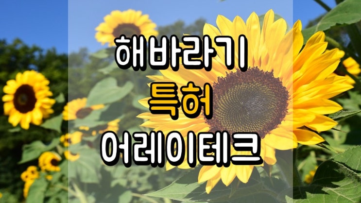  해바라기 특허!! 어레이테크놀로지스 - 주가 전망, 1 분기 실적발표일, 태양광 관련주, ARRY