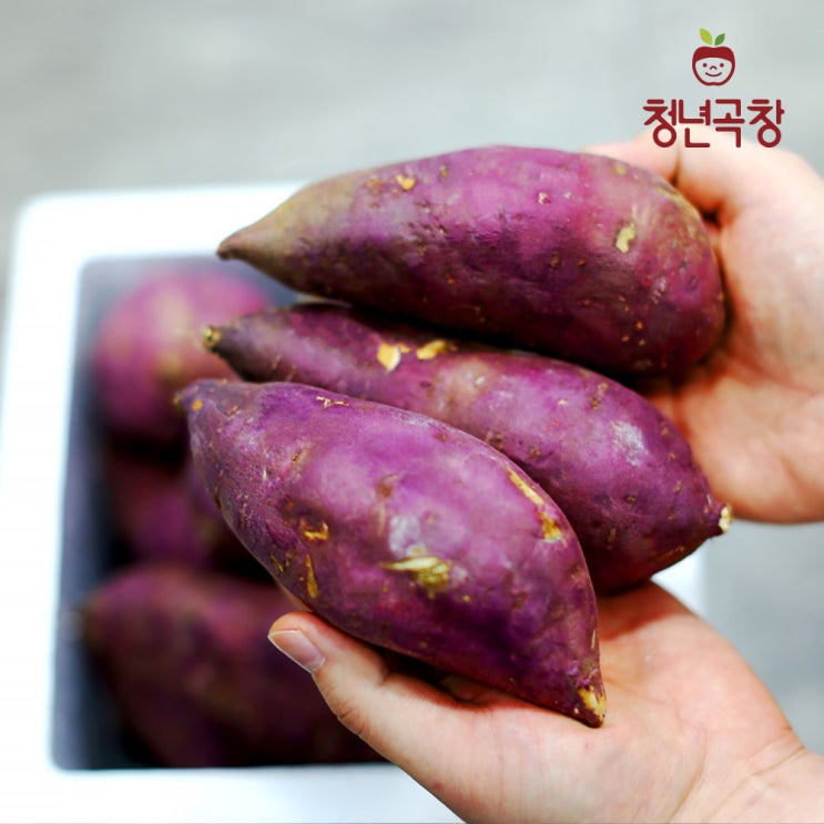 많이 팔린 청년곡창 바로이 고구마 호박밤 꿀고구마, 5kg 추천해요