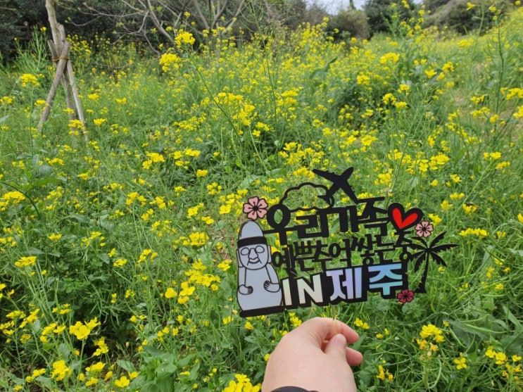  현실로그인 하다, 3박 4일 제주도 여행은 추억속으로.