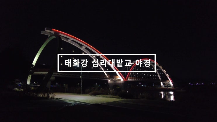  울산 태화강 십리대밭교 야경 20201223