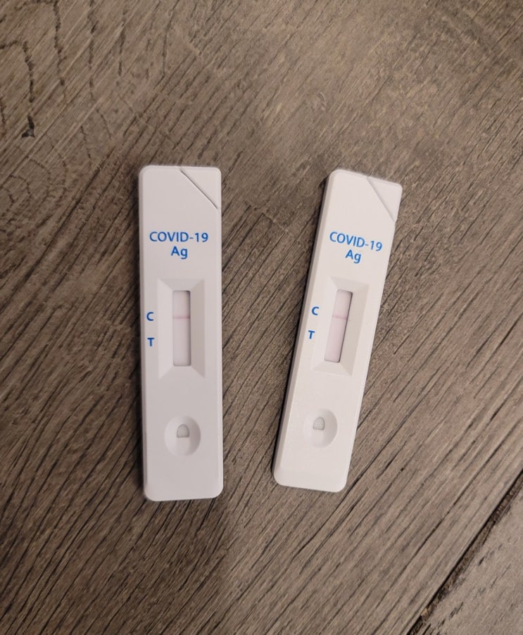  셀프 코로나 진단키트, 샌디에고 여행, 칼스주니어 프로틴버거, La Jolla 럭셔리 에어비앤비 비추