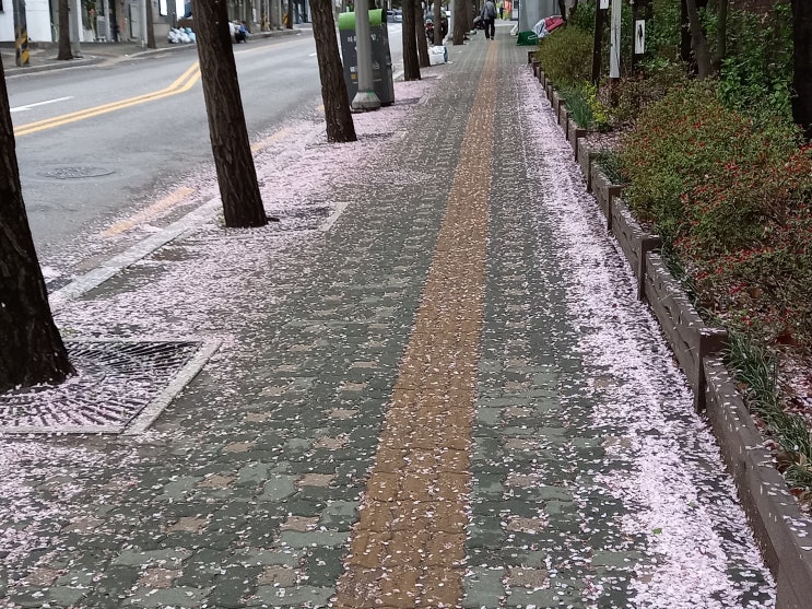 걷기 운동 걷기 운동