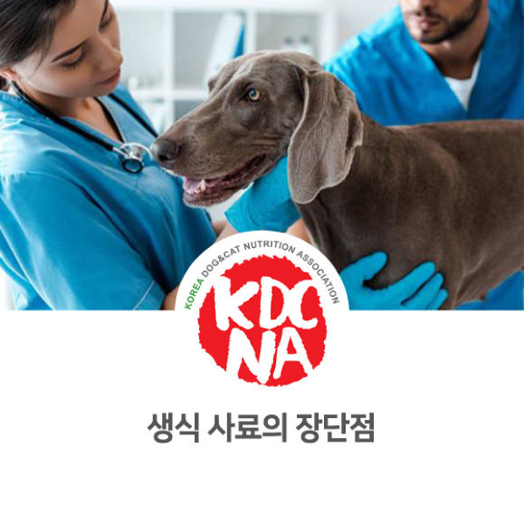  [애견수제간식/펫푸드자격증/한국반려동물영양협회/광주/순천/광양/영광/목포/대전/진주/한국반려동물영양협회] 문정숙 펫영양사가 알려주는 강아지 생식 장단점_773