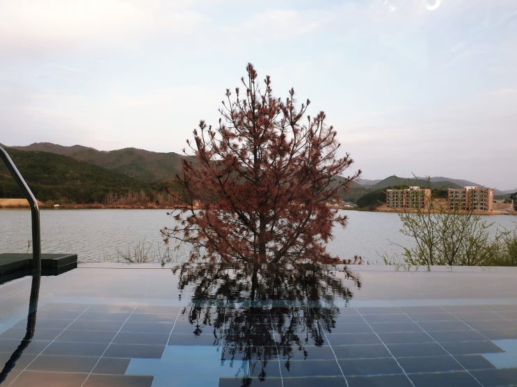  경주풀빌라 : 55번가 펜션 : 야외에서 즐기는 개인 수영장과 스파를 한 번에 즐기다.