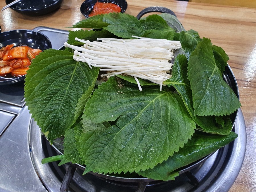 농장사철탕흑염소 사진 5