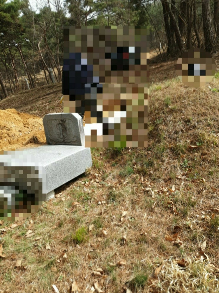 2021년 경북 구미시 해평면 낙산리 평장묘 2기 작업  고인돌장묘개발장의사