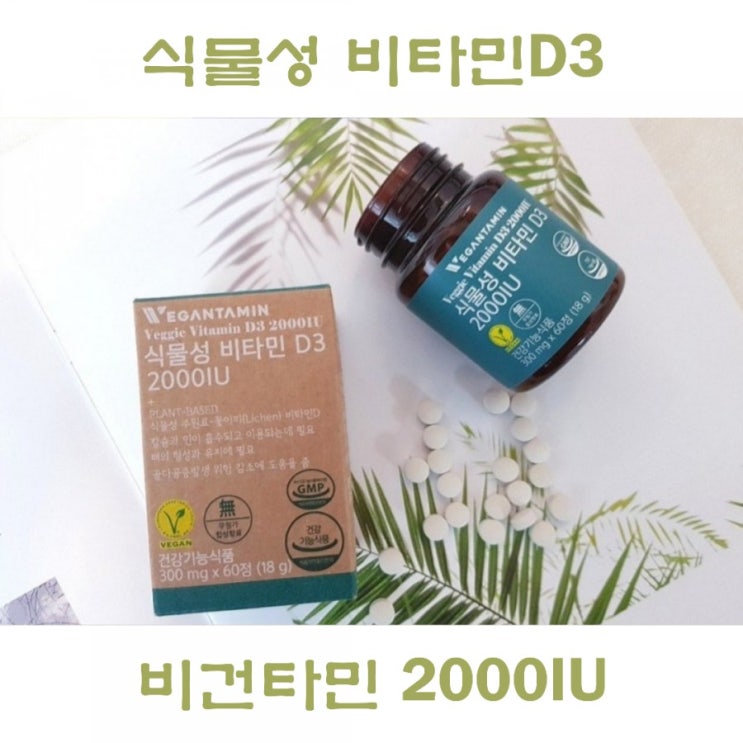  비타민디 효능 식물성 비타민D3 비건타민 추천!
