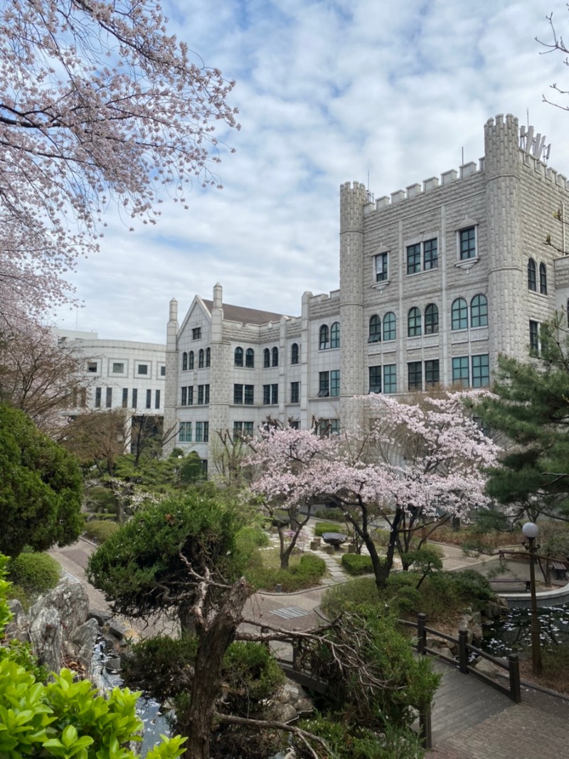 동덕여대 캠퍼스] 🌸본관 벚꽃사진, 백주년기념관, 학교 배경화면 공유🌸 : 네이버 블로그
