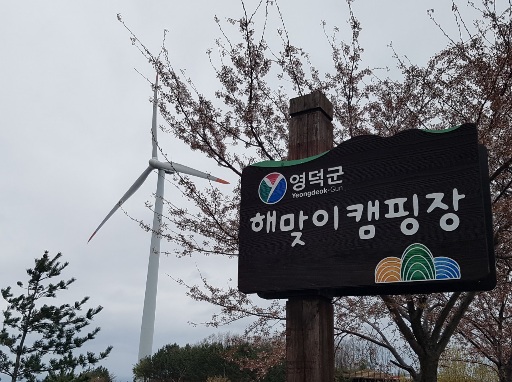  인천공항콜밴으로 라마다호텔에서 영덕 해맞이캠핑장 다녀왔어요(인천공항택시)