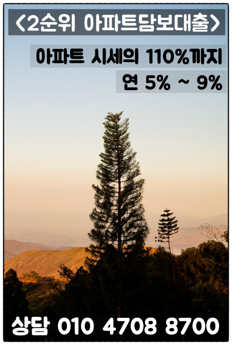  2순위 아파트담보대출 사업자 한도 높은 금융사 알아보기
