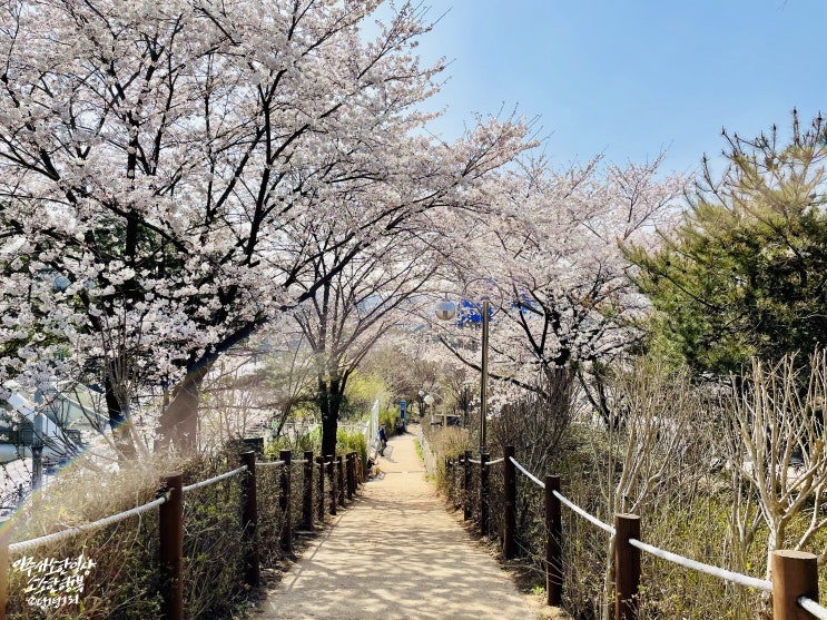 부천에 봄나들이 산책으로 가볼만한곳, 고강선사유적공원