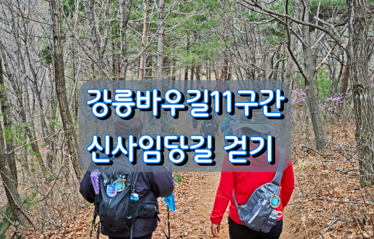 강릉바우길11구간 신사임당길 걷기 강릉바우길11구간 신사임당길 걷기
