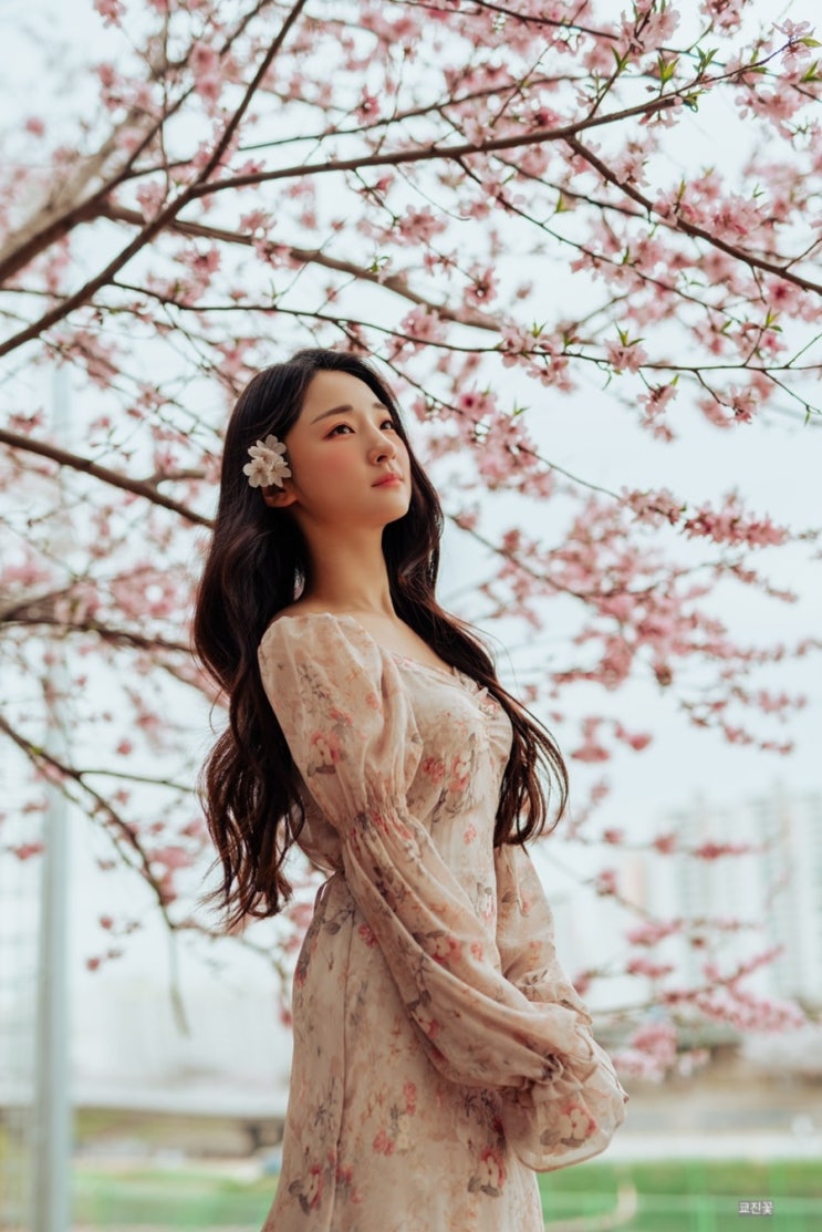  [서울스냅 : 리제이스냅] 강남 메이크업샵 "라비앙로즈" 헤어&메이크업 받고 구일 안양천 벚꽃길 봄 스냅촬영