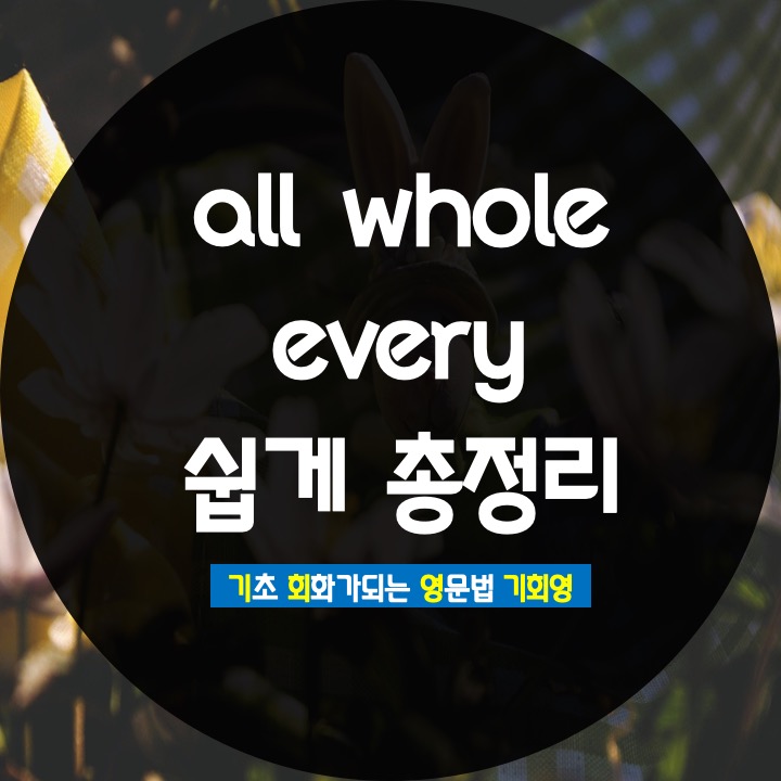 whole all every 차이 총정리 - 기회영