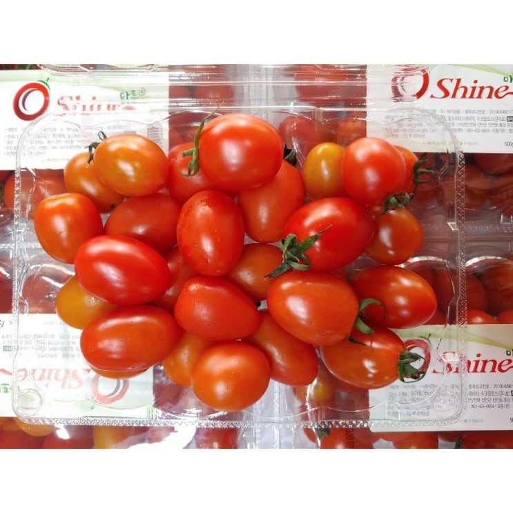 최근 많이 팔린 차칸유통 고당도 저칼로리 스테비아 방울 토마토 샤인마토 단마토 Shine mato, 샤인빅마토(토망고) 2Kg ··· 최근 많이 팔린 차칸유통 고당도 저칼로리 스테비아 방울 토마토 샤인마토 단마토 Shine mato, 샤인빅마토(토망고) 2Kg ···