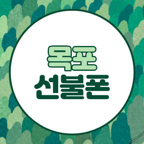  목포선불폰 다이소 유심으로 비대면 개통(앤텔레콤)