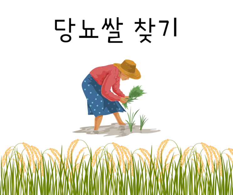  혈당 강하쌀은 당뇨밥으로 효과가 있을까?