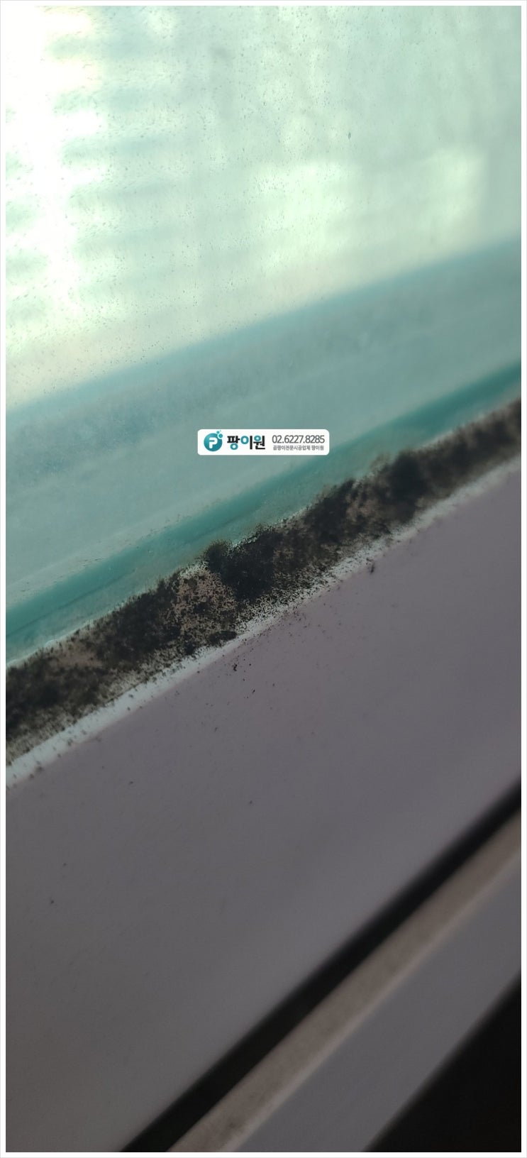  실리콘 곰팡이제거? 도대체 왜 생길까?