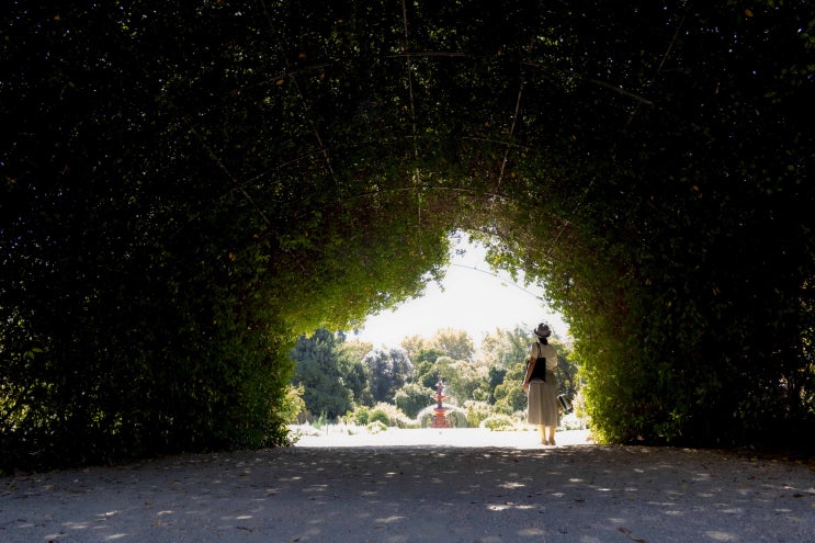  호주 애들레이드 주말여행지 - 애들레이드 보타닉 가든, Adelaide Botanic Garden