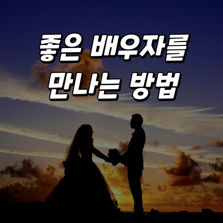 결혼을 잘하는 방법|배우자 선택을 잘하면 됩니다 와 같은 헛소리는 이제 그만 결혼을 잘하는 방법|배우자 선택을 잘하면 됩니다 와 같은 헛소리는 이제 그만
