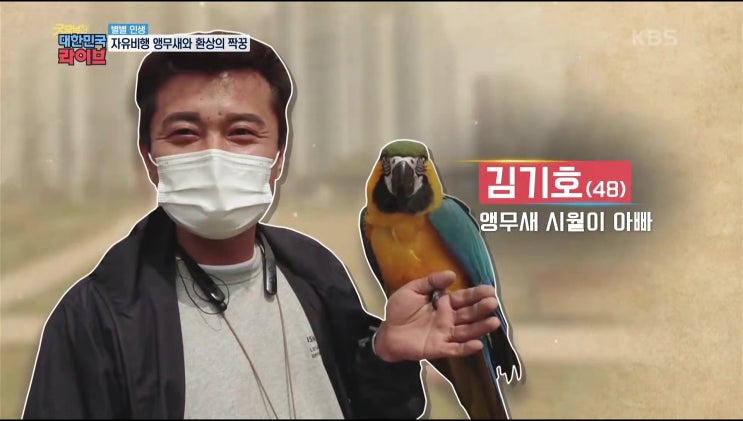  앵무새 카페 버드리 전주[KBS굿모닝 대한민국]촬영