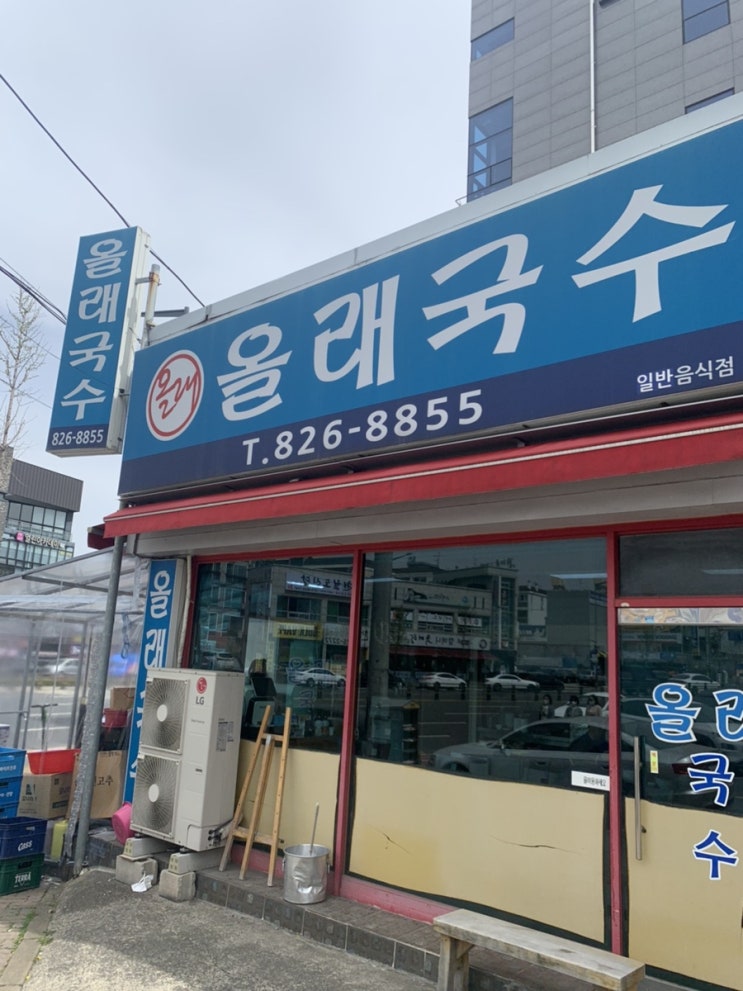  대전 올래국수_대전에서 맛보는 제주고기국수